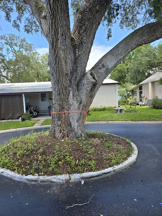 SUGAR CREEK MANUFACTURED HOME COMMUNITY Picture 10