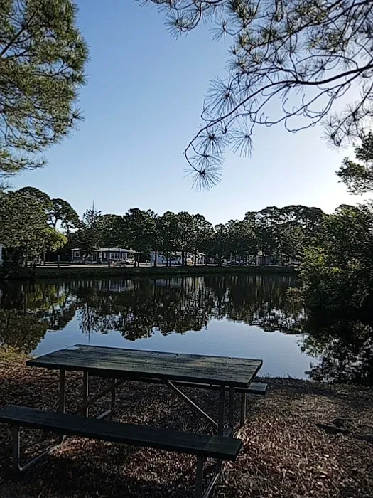 Whispering Pines - Largo Picture 3