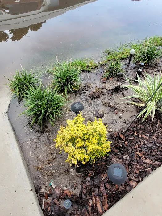 Whispering Pines - Largo Picture 4