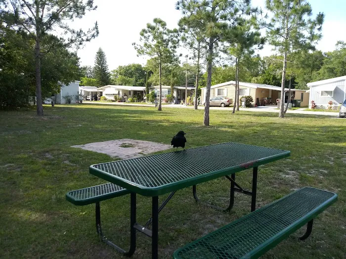 Whispering Pines - Largo Picture 8