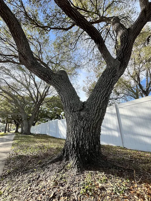 Paradise Park Co-Op Picture 3