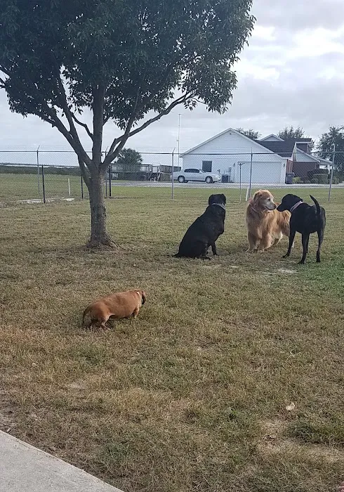 Parakeet Park Mobile Home & RV Community Picture 5