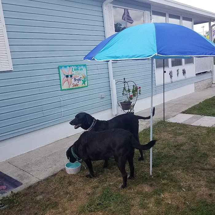 Parakeet Park Mobile Home & RV Community Picture 8