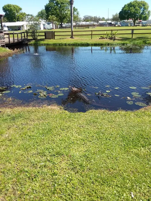 Camp Central RV Parks - North Picture 4