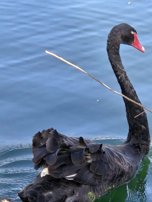 Highland Village Mobile Home Park Picture 4