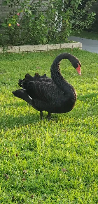 Highland Village Mobile Home Park Picture 9