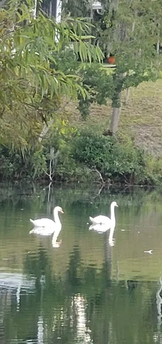 Highland Village Mobile Home Park Picture 8