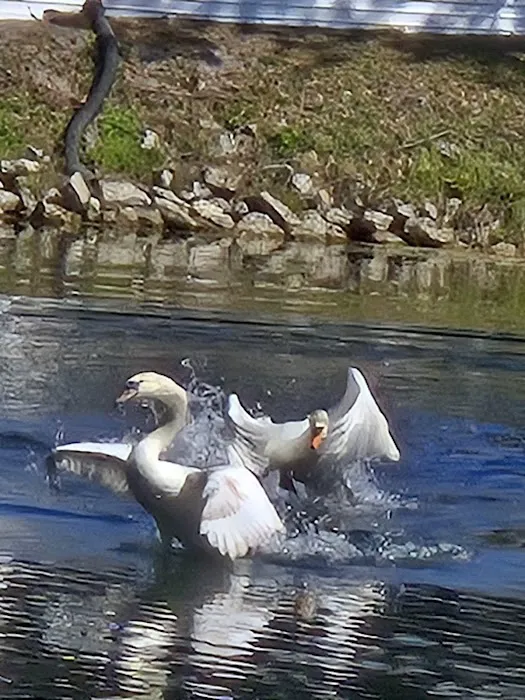 Highland Village Mobile Home Park Picture 7