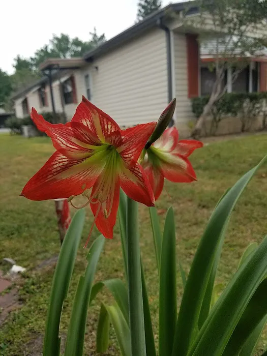 Heatherwood Village Mobile Picture 6