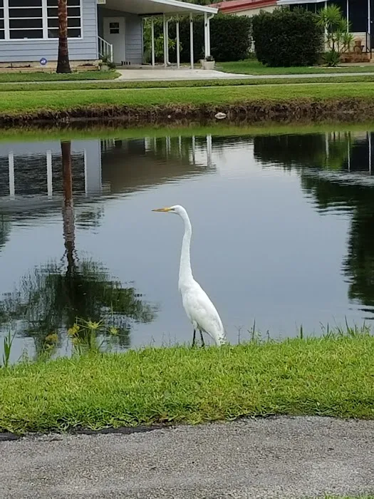 Heatherwood Village Mobile Picture 3