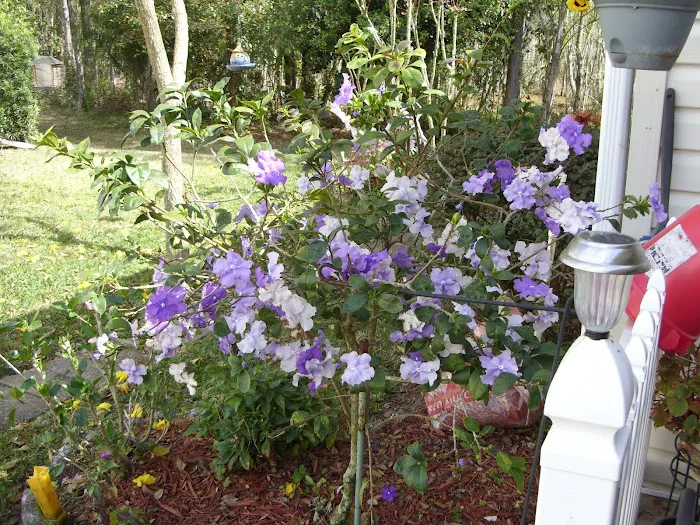 Heatherwood Village Mobile Picture 5