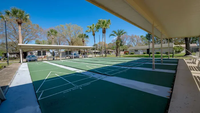 Ariana Village Picture 5