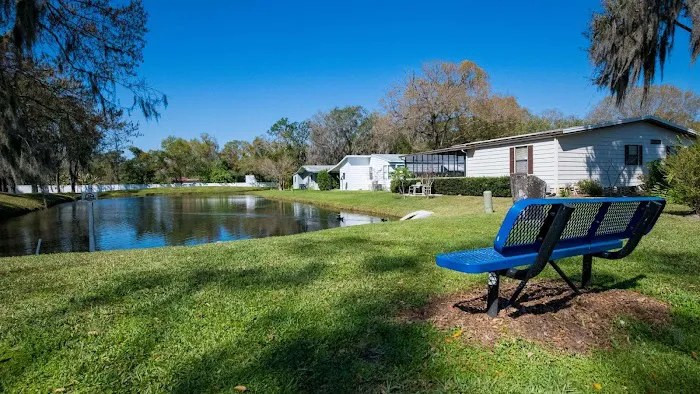 Ariana Village Picture 4