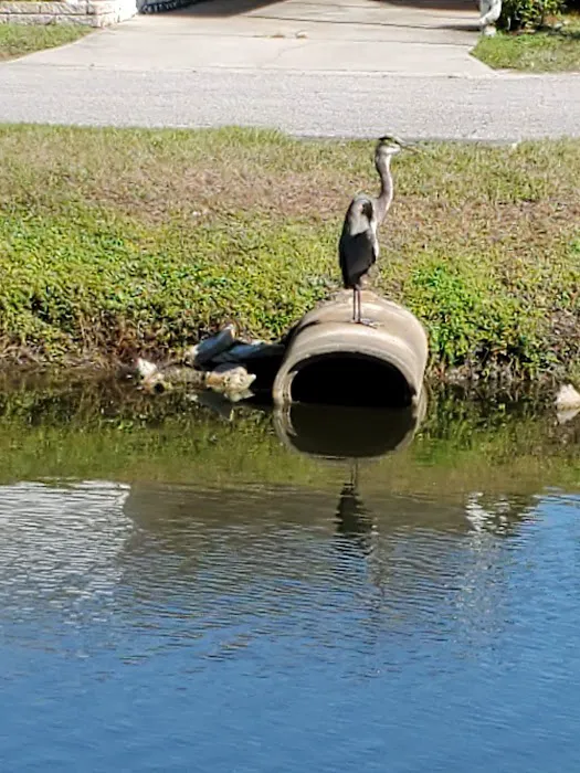 Down Yonder Village Picture 8