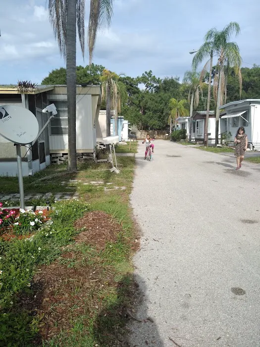 Sun Terrace Manufactured Home Community | Clearwater, FL Picture 7