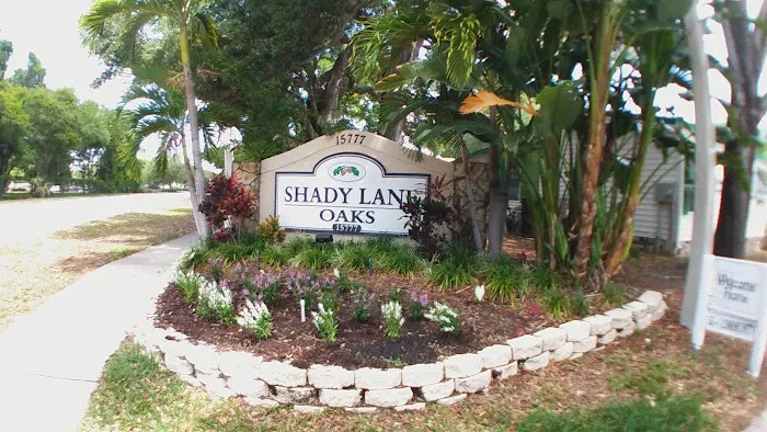Shady Lane Oaks Picture 3