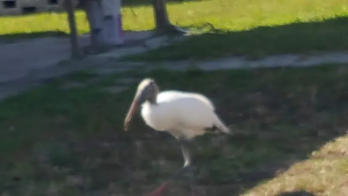 Heritage Village MHP Picture 9