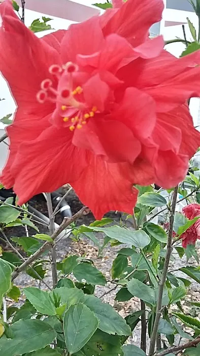 Heritage Village MHP Picture 6