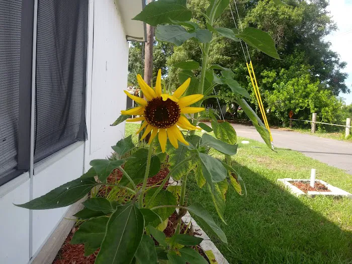 Heritage Village MHP Picture 4