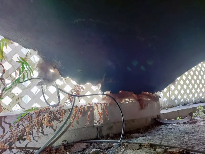 Oasis Home Owners Inc. Picture 1