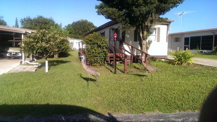 Hammock Lake Est Mobile Home Picture 5