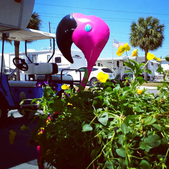 Avion Palms Homeowners Associates Picture 8