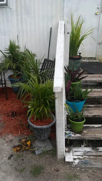 Pine Cone Mobile Home Park Picture 6
