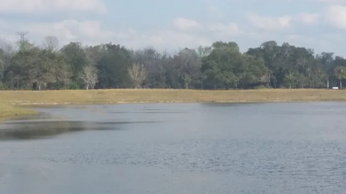 Crystal Lake Village 55+ RV and Home Community Picture 8