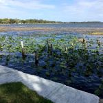 Sunrise Trailer Park Inc