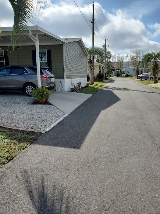 Paradise Palms Picture 2