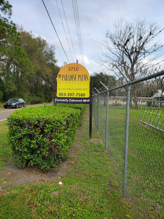 Paradise Palms Picture 3