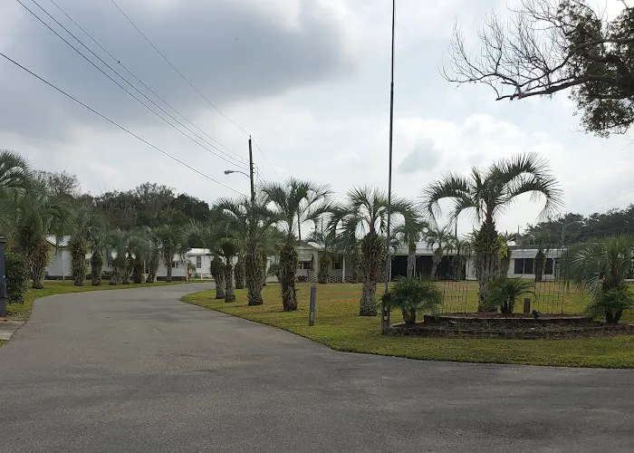 Paradise Palms Picture 4