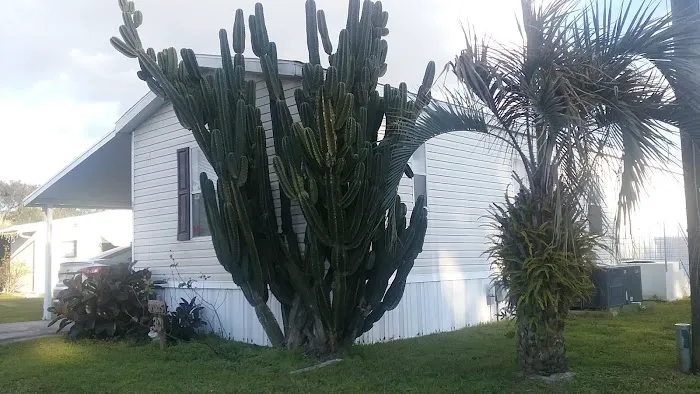 Paradise Palms Picture 6