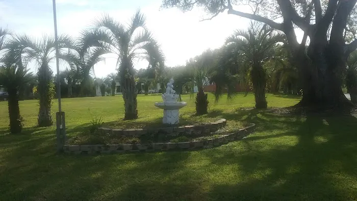 Paradise Palms Picture 5