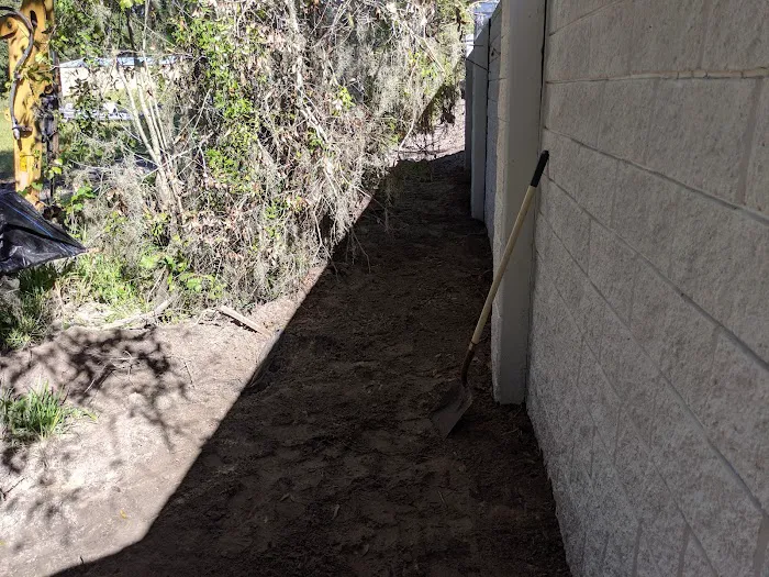 Paradise Palms Picture 7