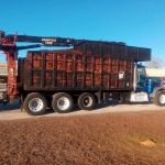 Indian River Shores Rv