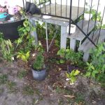 Leisure World Home Owners