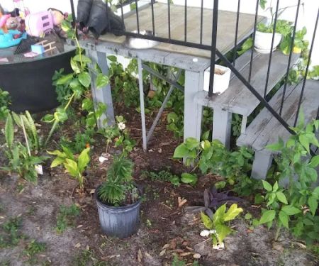 Leisure World Home Owners