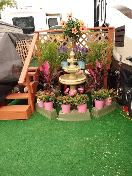 Travel World RV Park Picture 9