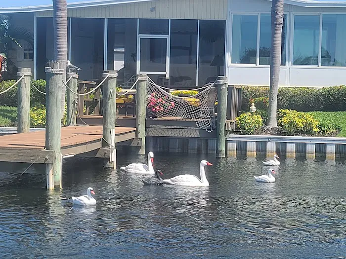 Lake Seminole Resort Picture 2