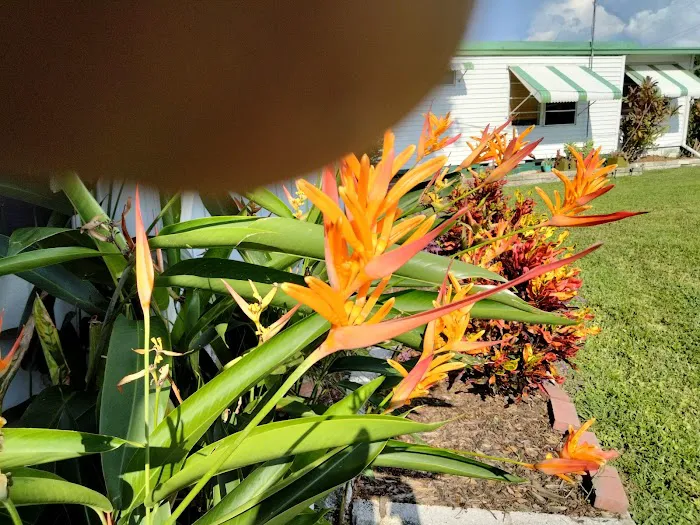 Cardinal Court Mobile Home Park Picture 5
