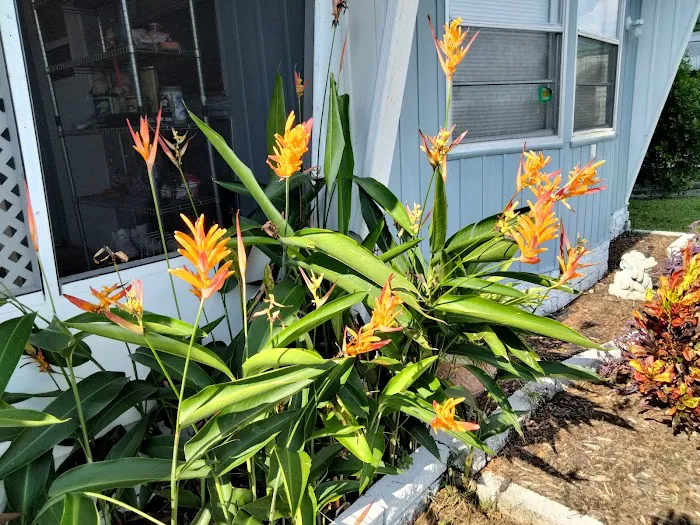 Cardinal Court Mobile Home Park Picture 10