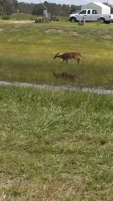 Lake Kissimmee Mobile Home Park Picture 7