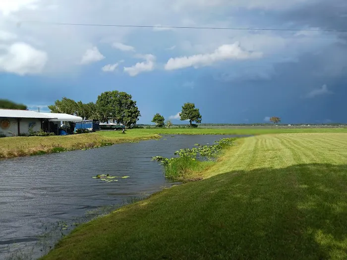 Bud's RV Park & Marina Picture 7