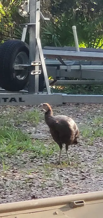 Bud's RV Park & Marina Picture 9