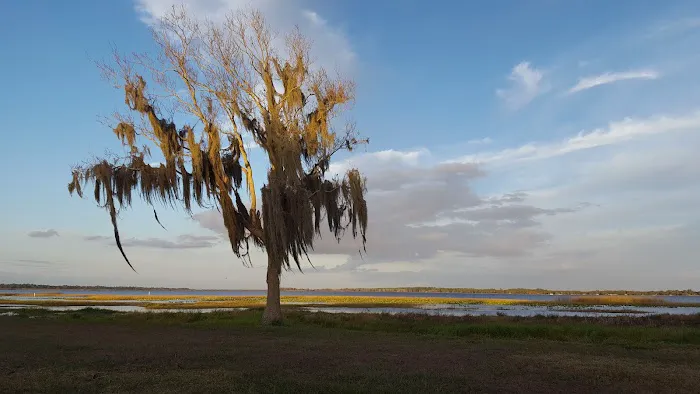 Bud's RV Park & Marina Picture 10