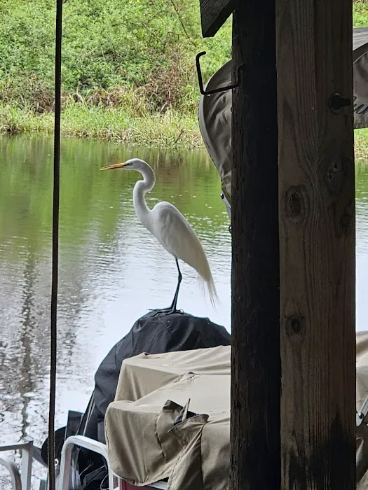 Kissimmee River Park & Marina Picture 4