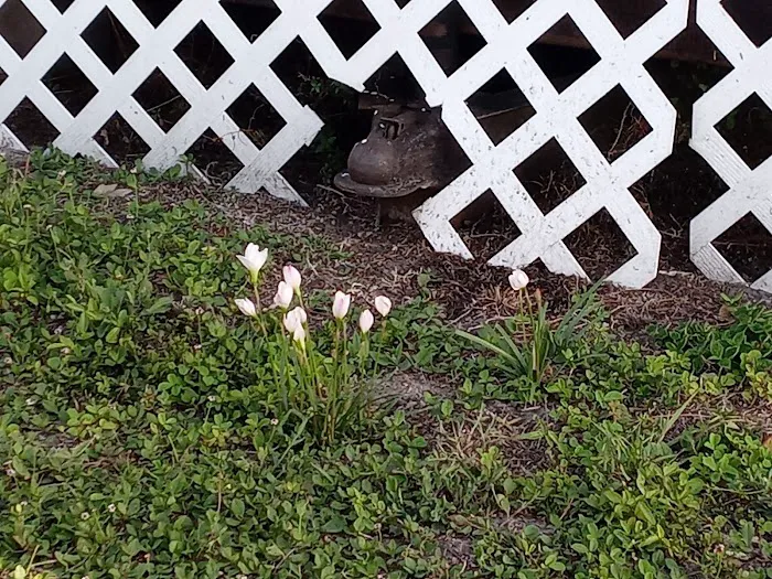 Floral Village Mobile Home & RV park Picture 6