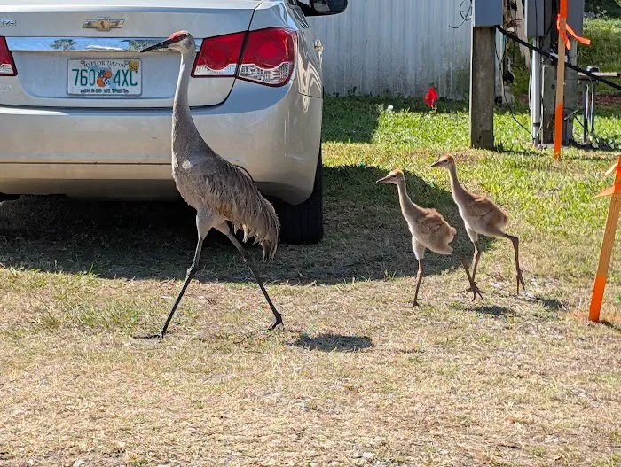 Floral Village Mobile Home & RV park Picture 2