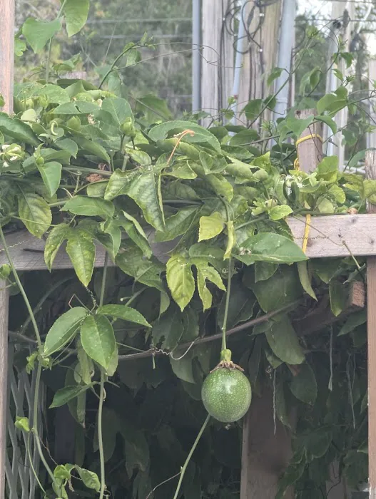 Floral Village Mobile Home & RV park Picture 10